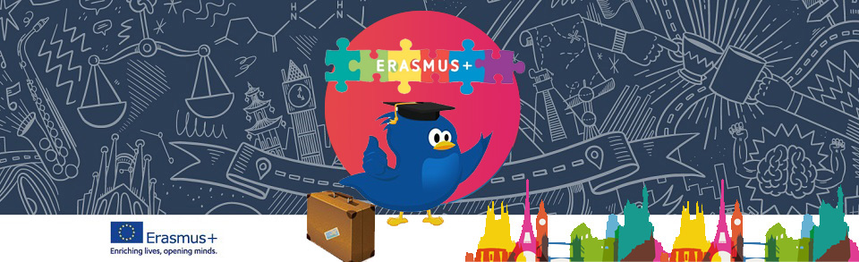 erasmus-banner